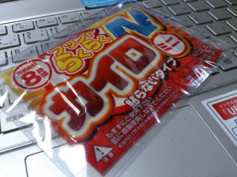 cách ngắm hoa hanami như người nhật bản